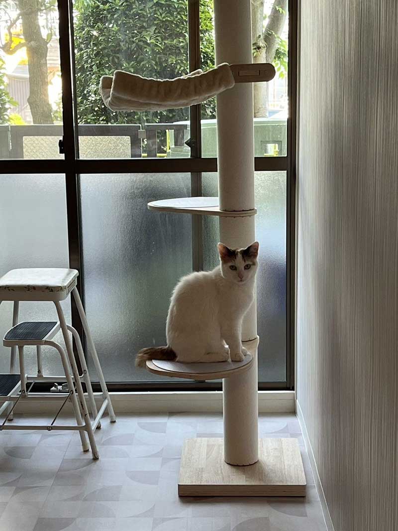 The darling girl looks to have settled in beautifully!