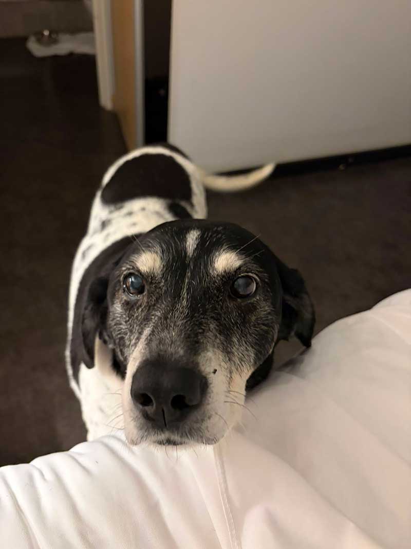 She enjoyed our overnight stay at a hotel