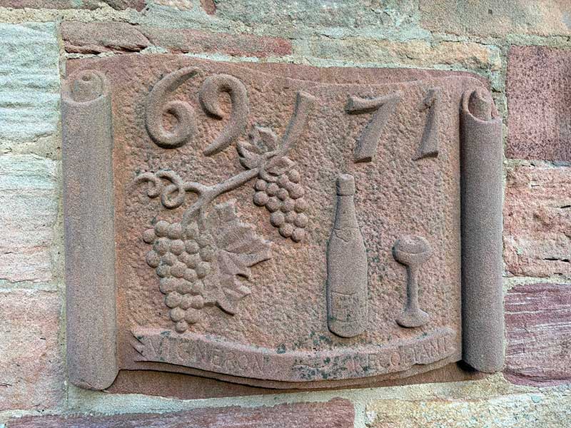 Alsace is known for its vines...